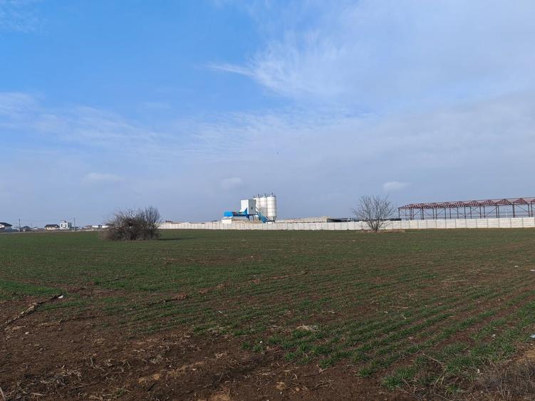 Teren Construcții intravilan de 15600 mp, în Dragomirești-Vale
