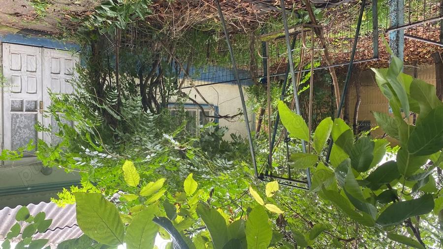 Casa de vanzare in Bivolari, jud. Ia?i 3 camere, teren 1152 mp - 3