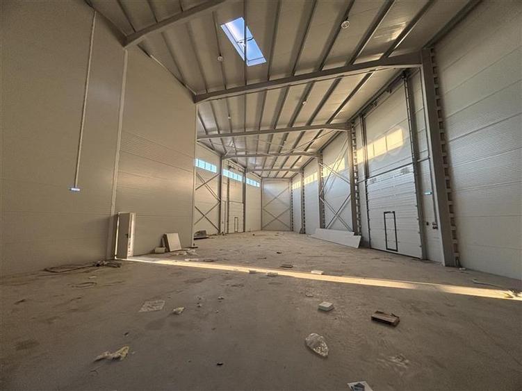 Vanzare depozit/hala/spatiu industrial Mogosoaia - Centura - 8