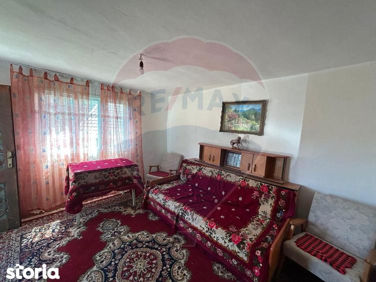 Casa bunicilor de vanzare. - 10