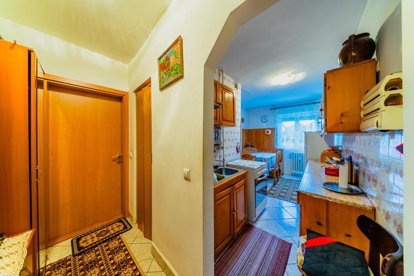 Apartament 2 camere, parter - Zona Aurel Vlaicu, Lebada - 9