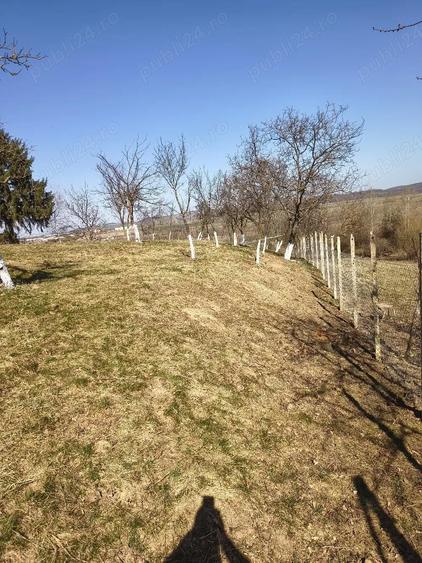 Gradina in extravilan - 4