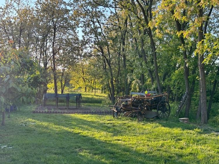 Vand casa in Lugojel - 5