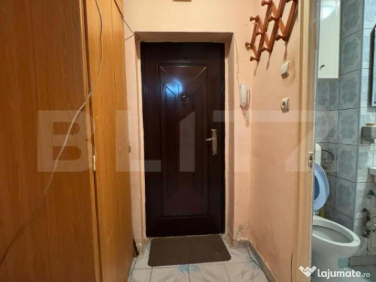 Garsoniera 25 mp, Petre Ispirescu Barca - 5