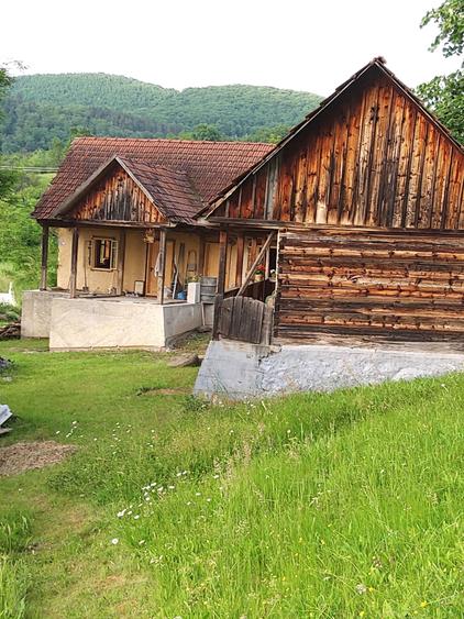 Vand casa lemn traditionala. - 8