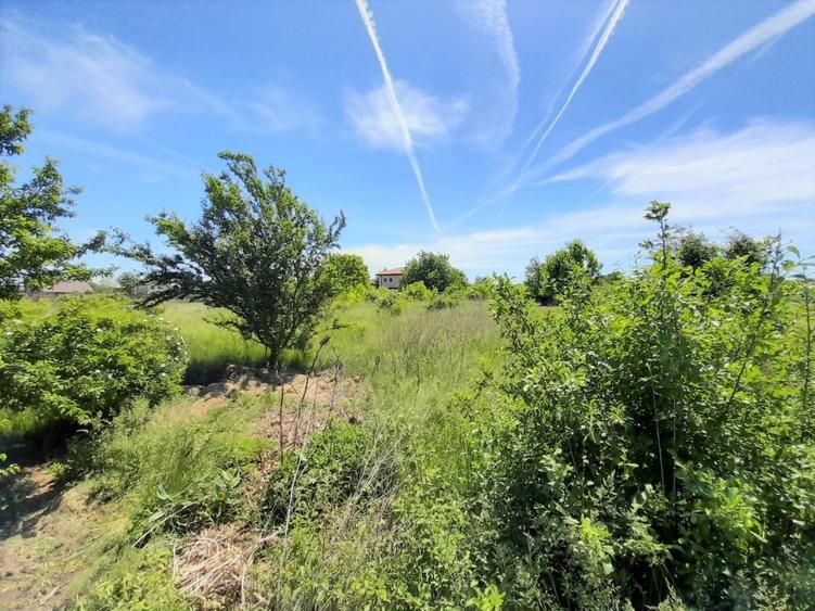 Teren intravilan Snagov / Ciofliceni / 678 mp / D: 52.20 m / comision 0% - 10