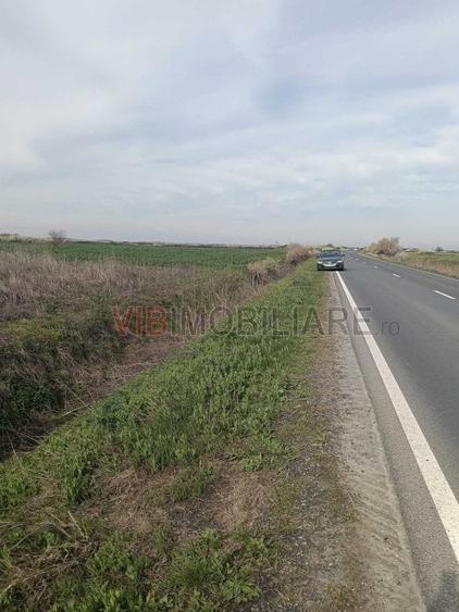 Săcălaz – Beregsău | Teren extravilan 1 ha | Potențial dezvoltare - 4