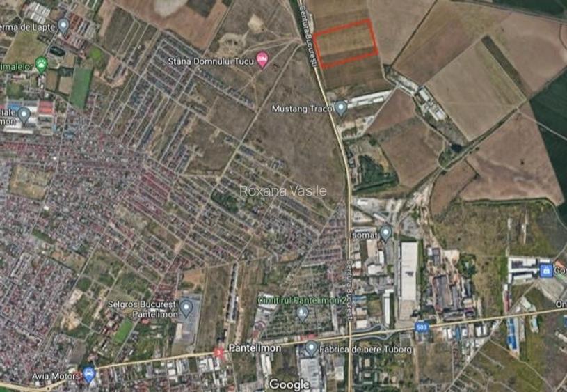 Centura  Pantelimon   Suprafata  Compacta  71 889mp Teren  Extravilan