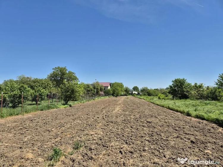 Teren intravilan 2658 mp cu bransament electric trifazic ... - 1