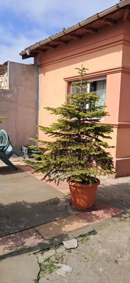 GARĂ=SPAȚIU COMERCIAL 80 METRI - 14