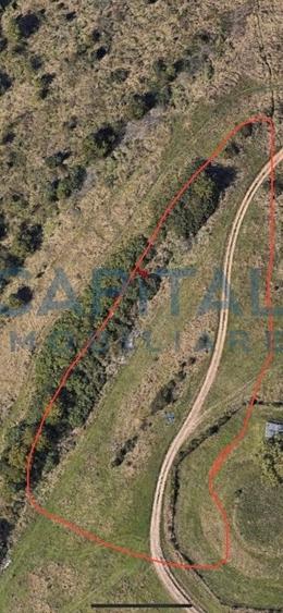 Teren intravilan 5500 mp Mures - 2