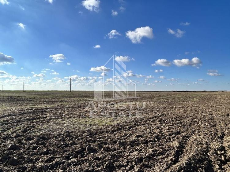 Teren 98.503 mp, intravilan, ideal parc fotovoltaic, Peciu Nou. - 1