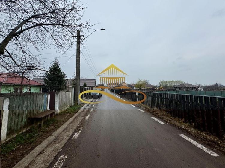 Teren de vanzare Filipesti Bacau 6838 mp - 10