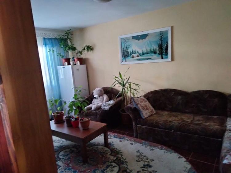 Apartament 3 camere decomandat - 4