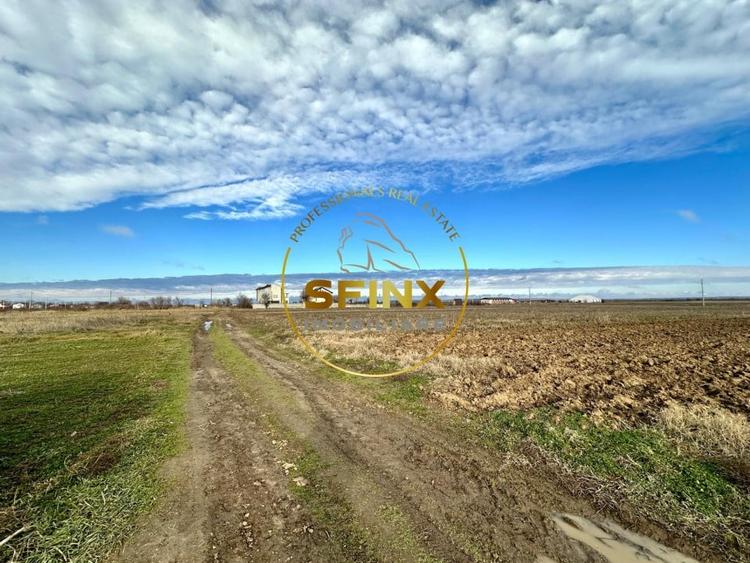 LOT de casa Tartasesti Primarie | teren cu potential - 1