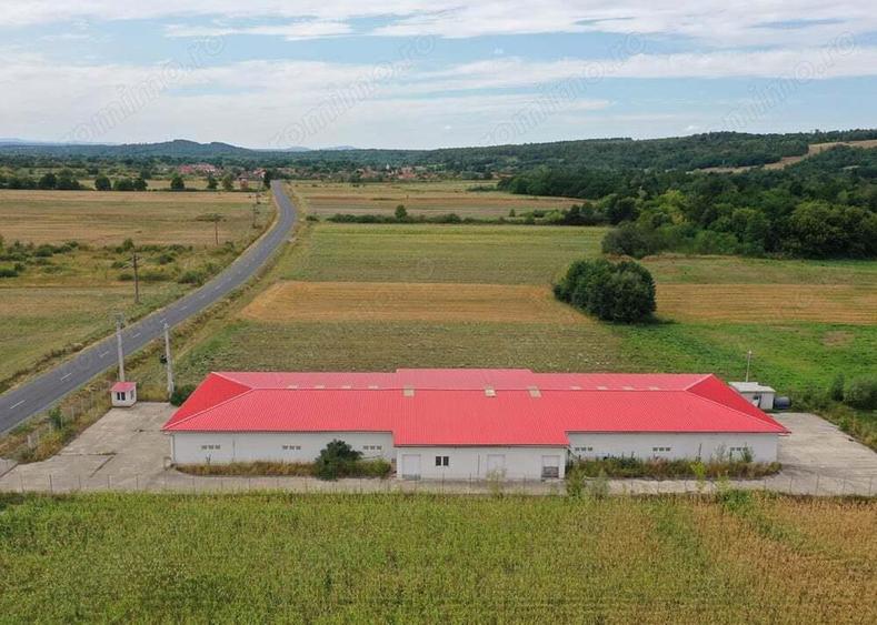 Hala de productie ciuperci de depozitare - Dezna - AR - 8