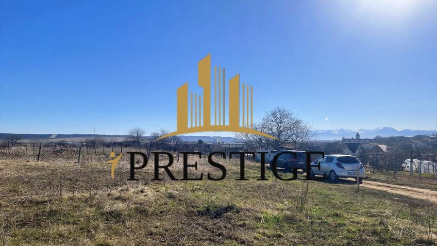 TEREN EXTRAVILAN 873 MP DE VÂNZARE ȘURA MICĂ | POTENȚIAL INTRAVILAN - 9