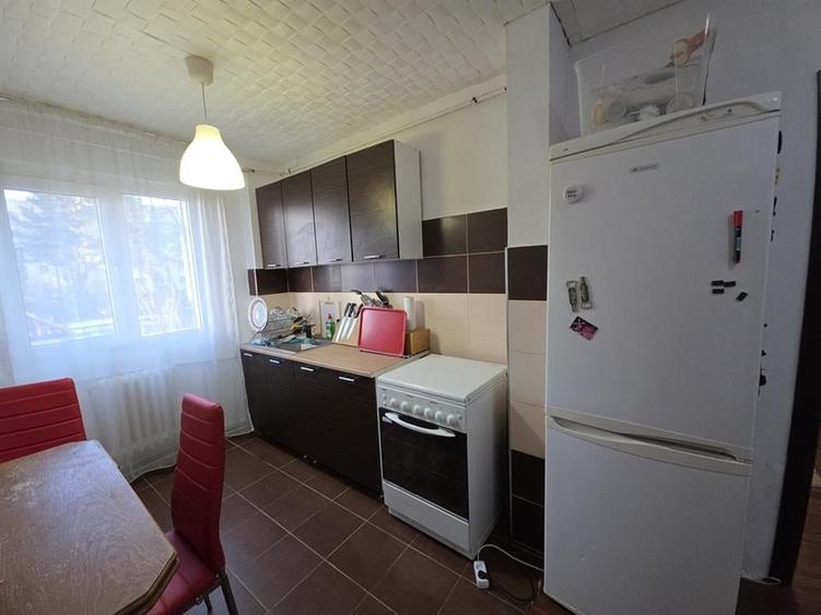 Apartament 3 camere, etaj 1, Grigore Alexandrescu - 11