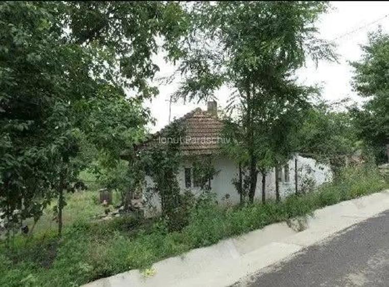 Casa si teren Costinesti, Botosani, ID: R2728052