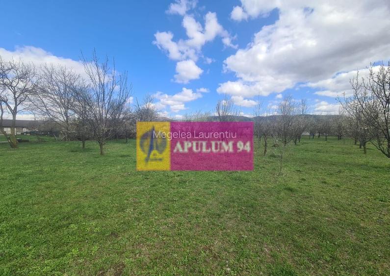 Teren de vanzare in Brebu - Zona Brebu Megiesesc