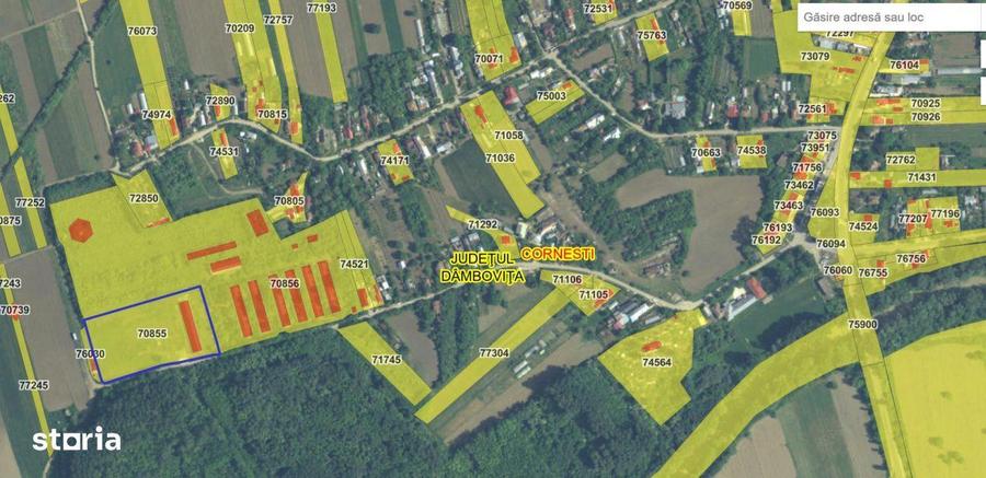 HALA INDUSTRIALA DE VANZARE DB, CATUNU (TVA inclus) - 7