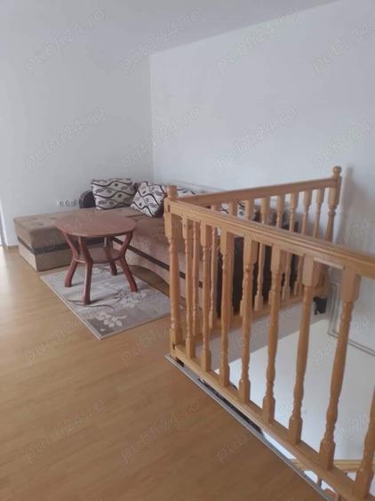 Casa sau Casa de vacanta Transalpina Sugag Alba - 4