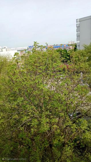 Ocazie unica! Proprietar vand urgent apartament 3 camere vis-a-vis de Shopping City. Negociabil!! - 10