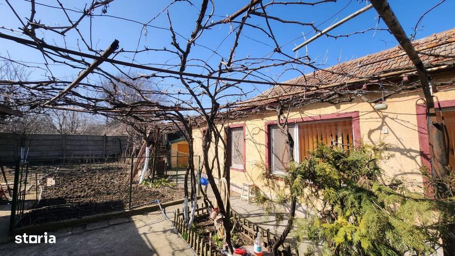 Casa 3 camere, Viile Noi ,teren 461 mp - 10