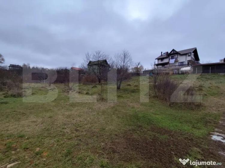 Teren intravilan 2618 mp IASI- Strugurilor - 4