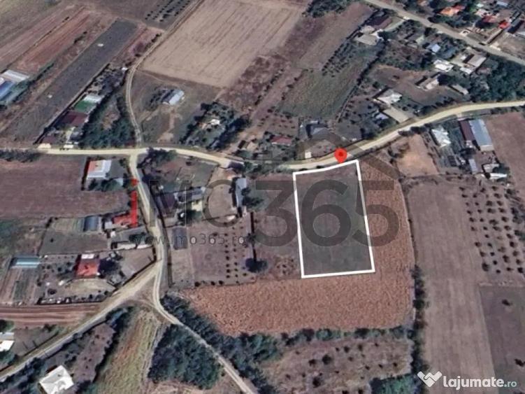 Teren intravilan 3000mp Oarja deschidere 37m - 7