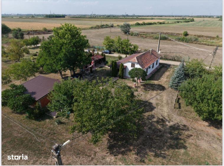 Spatiu multifunctional Salonta - 4