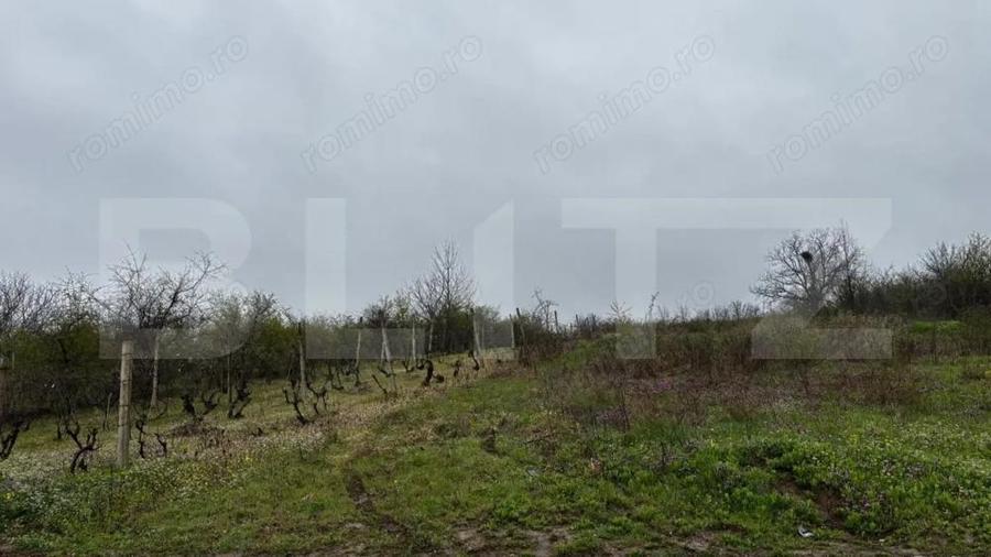 Teren intravilan 2000 mp, front 16,7 ml, vizibilitate la DN, Carcea - 2