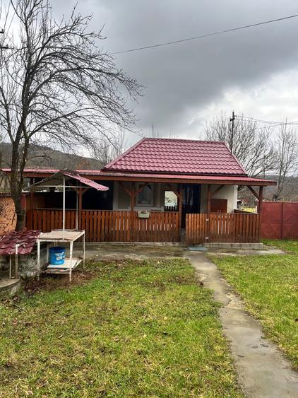 Vand casa la tara. - 8