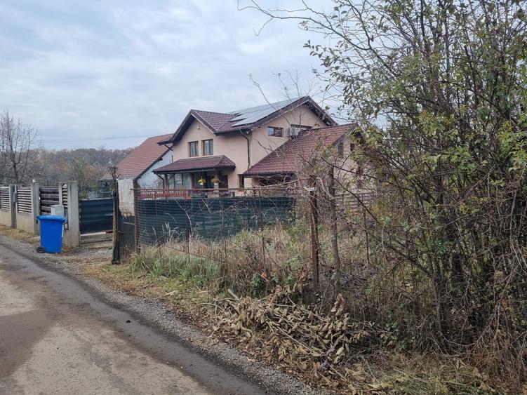 Vand 2500 mp in Branesti, strada Brazi in spatele lizierei, tpate utilitatile, - 6