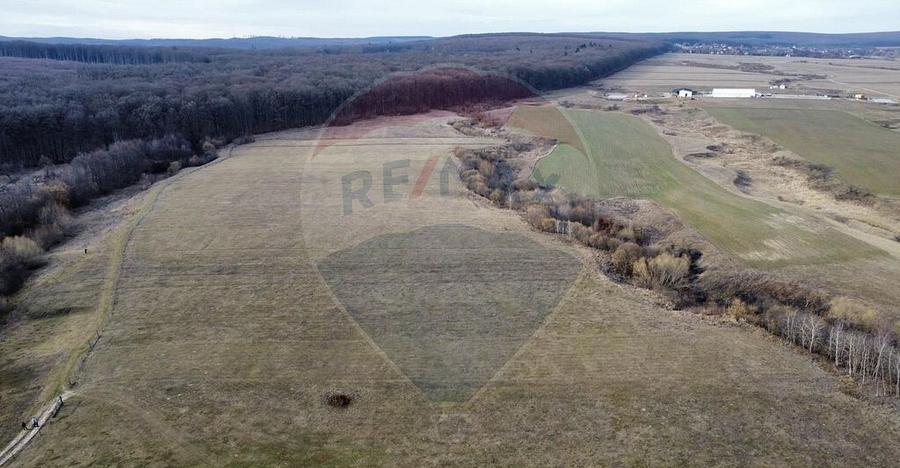 Teren 2925 mp comuna Mitocu Dragomirnei - 7