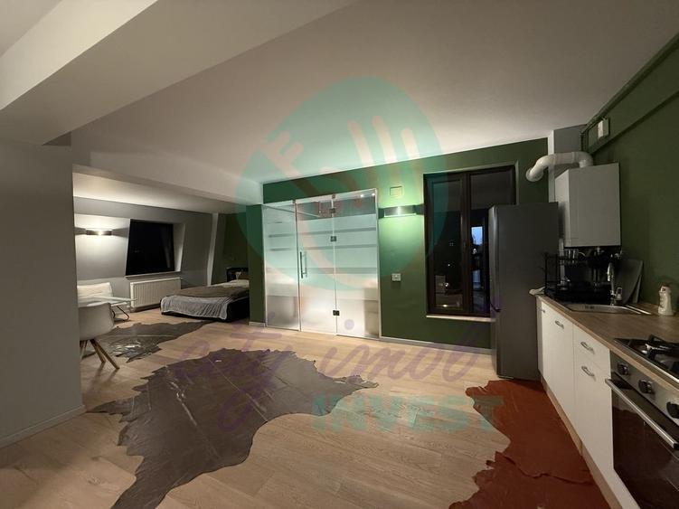 STUDIO OPEN SPACE de 58 mp la 2 pasi de Pache Protopopescu - 2