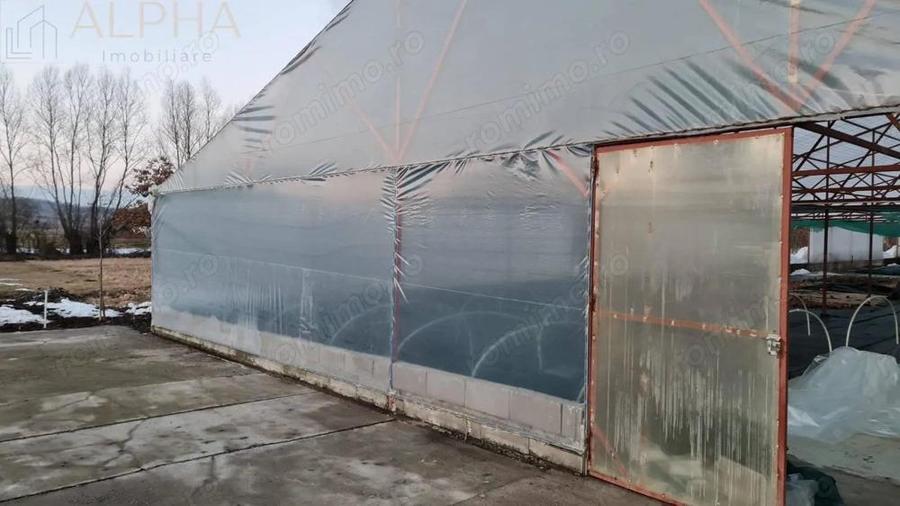 AFACERE LA CHEIE HALA PRODUCTIE + SERA PROFESIONALA - 5