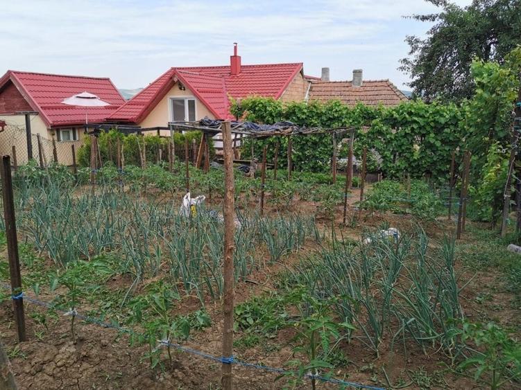 Mureseni,casa 2 camere  teren 650 mp - 9