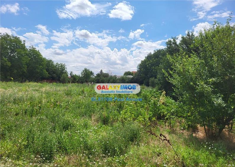 Teren Dascalu 3974 mp la sosea str Mures cu toate utilitatil - 1