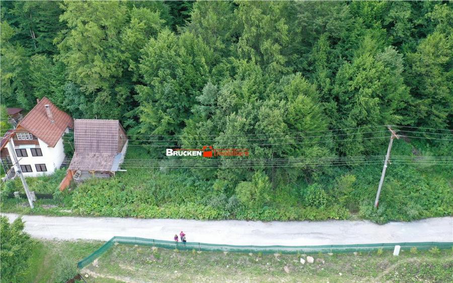 TEREN INTRAVILAN CONSTRUIBIL 400 mp | Statiunea Boga,... - 2