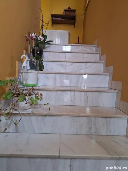 Vanzare imobil Alexandria - 3