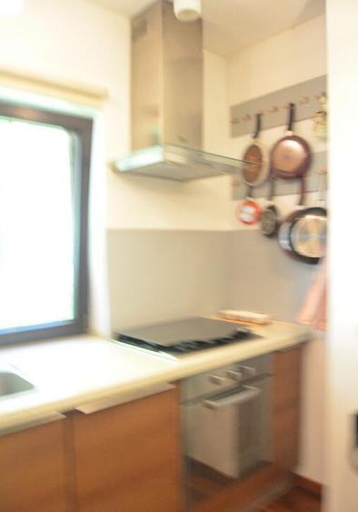 Vila de vacanta situata in Predeal-Cioplea - 12