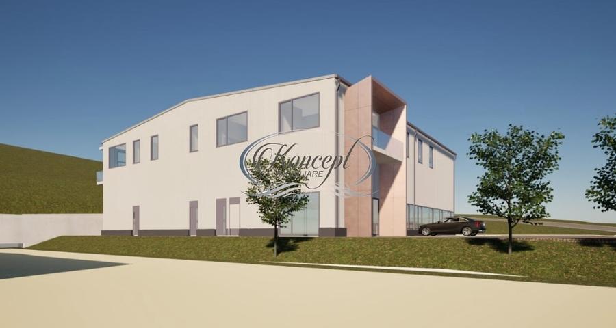 Teren industrial cu autorizatie hala, Valea Chintaului - 2