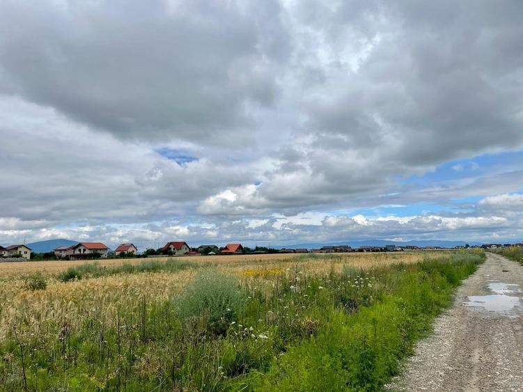 Parcele casa 352mp , Triaj-Sanpetru! - 3