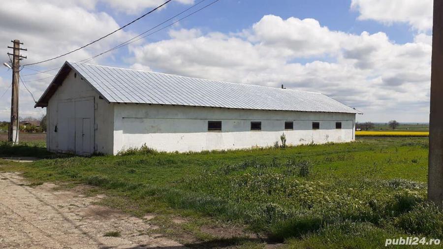 De vanzare Teren ?i Conac Brastava?u, Olt - 7