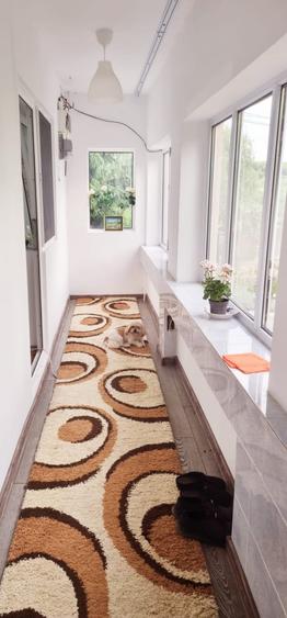 Colt de rai refugiul tău verde în inima naturii - 7