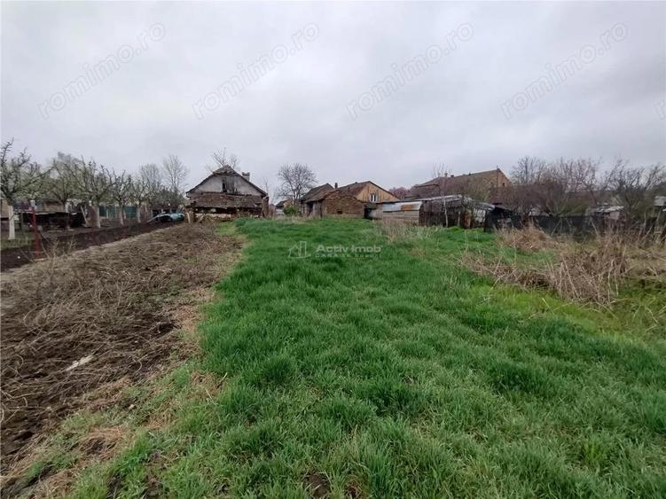 Iecea Mare - Timis, Casa cu Gradina, 1800mp Teren, Pret Negociabil - 15