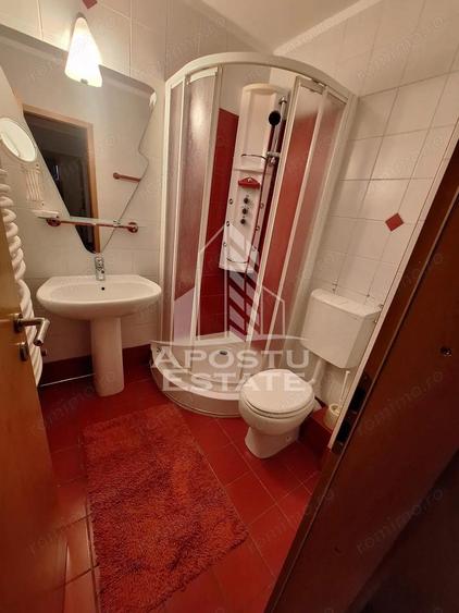 Apartament 4 camere zona Aradului , centrala proprie si garaj - 4