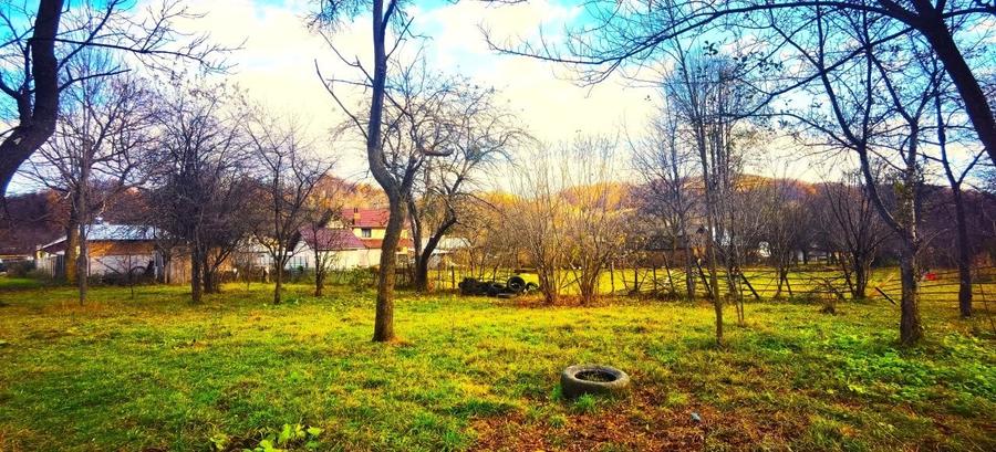 Teren de exceptie langa Breaza 2900Mp - 8