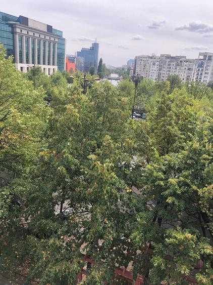 inchiriez 2 camere Bd.Unirii - langa Tribunal locuit / birou - 4